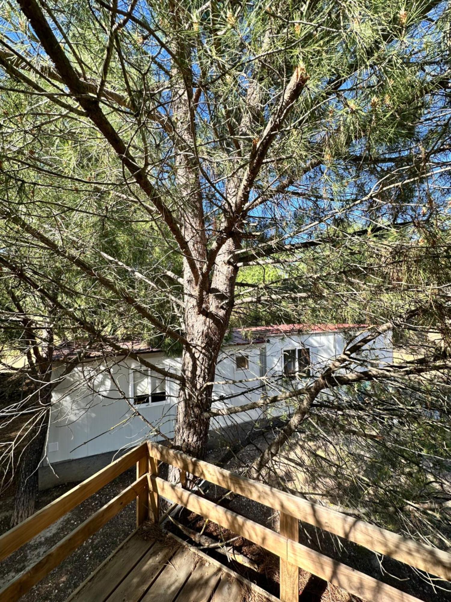 Bungalow Golosina Torrelaguna المظهر الخارجي الصورة