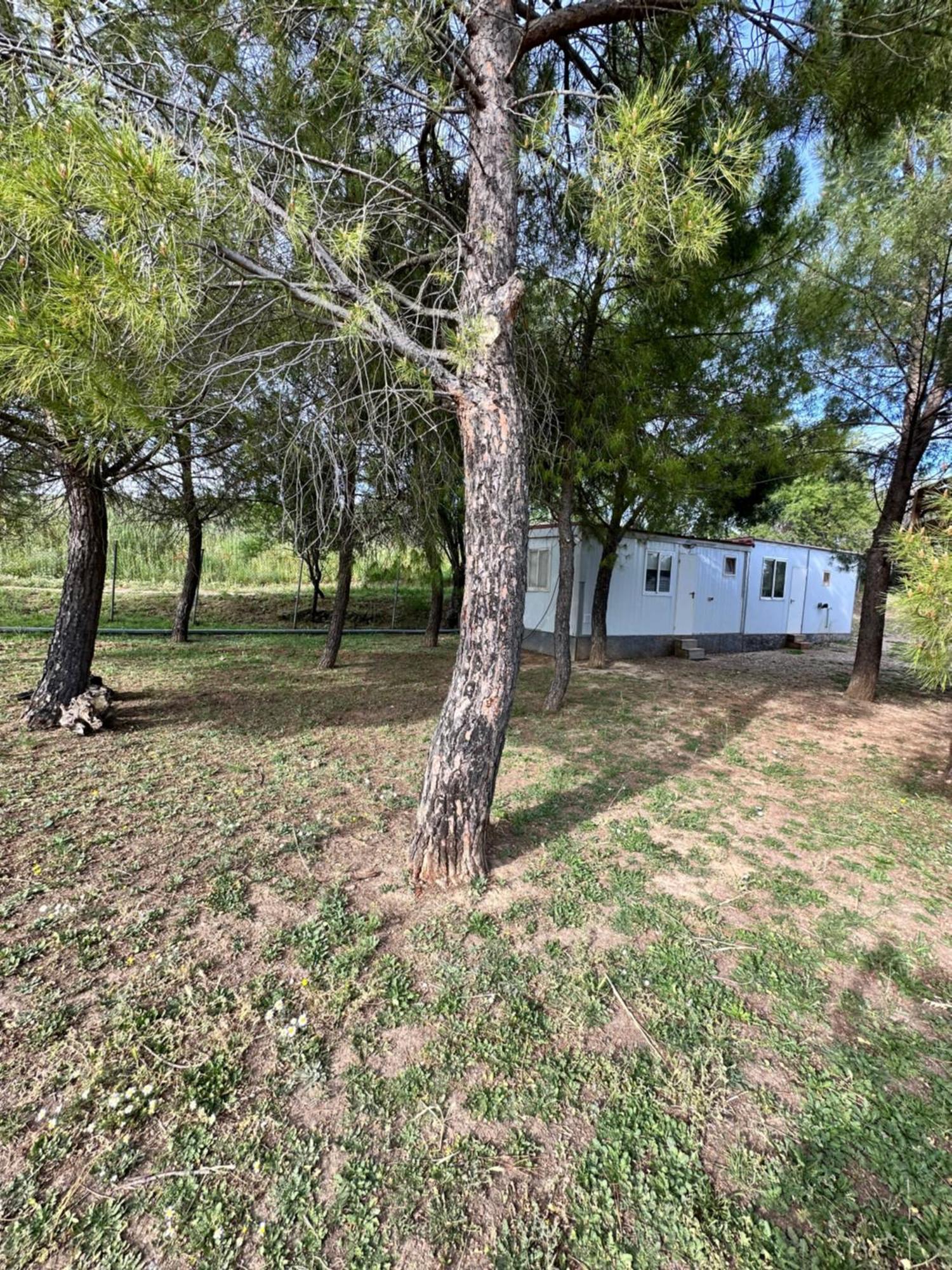 Bungalow Golosina Torrelaguna المظهر الخارجي الصورة